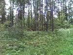 090613_133139.jpg