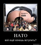 6g2v6sy3t1sh.jpg