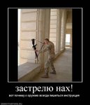 gallery_3441_408_534.jpg