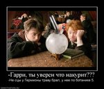 gallery_3441_408_27585.jpg