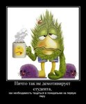 demotivatori064.jpg