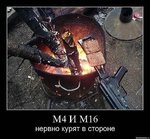 x_79415efc.jpg