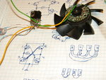 DSCN5050.jpg