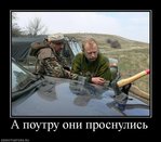 y_2a993a93.jpg