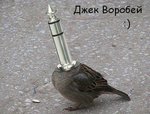 x_da023fb9.jpg